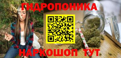 гашик Дубна