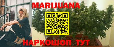 гашик Дубна